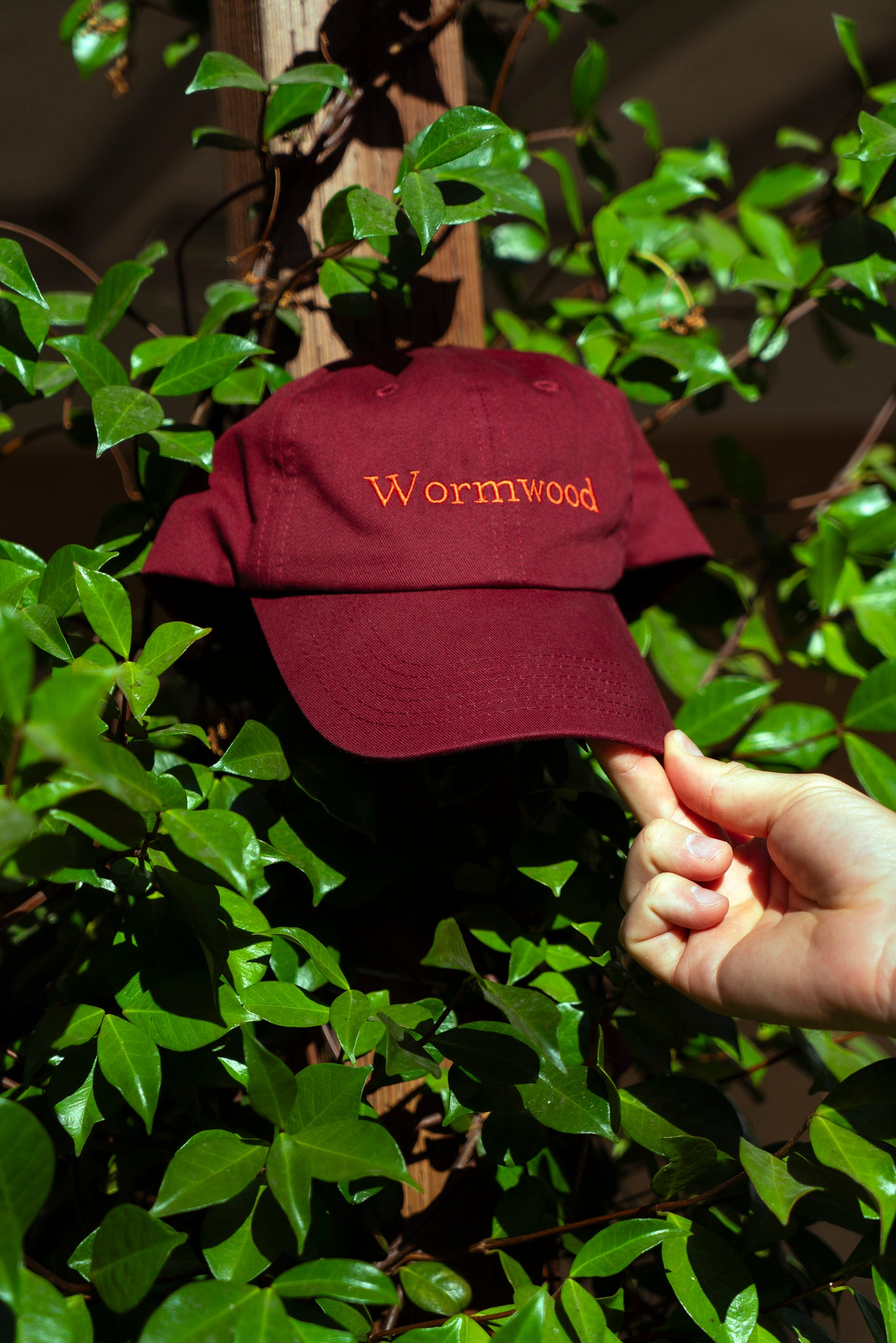 Wormwood Cap